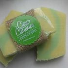 13165986_1069451853135104_7458611327316132989_n 13165986_1069451853135104_7458611327316132989_n