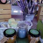 13495203_1106727286074227_8819153773623737886_n 13495203_1106727286074227_8819153773623737886_n