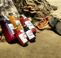 13680819_605687562935473_944812181630935843_n