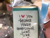 14724431_620776831438005_8187052703537364492_n