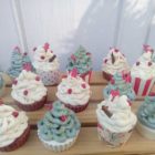 15271837_1238067896273498_6900328974271168368_o 15271837_1238067896273498_6900328974271168368_o