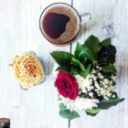 17362766_1289231967830164_7896623675157970412_n