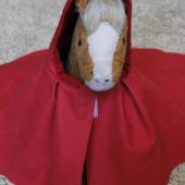 20228273_675423062667376_3084290551126446333_n