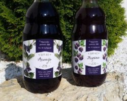 21222734_10209447387078746_1704714526_o