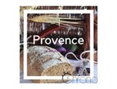 21687925_488948498130581_5334224140819191775_n