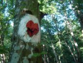 22181605_134936163814313_8418319034969973629_o 22181605_134936163814313_8418319034969973629_o