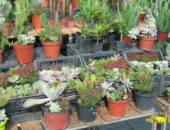 22228571_143348459735226_8611245462503556822_n