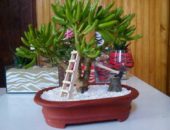 12814789_1031611913550987_1462664151285348348_n 12814789_1031611913550987_1462664151285348348_n