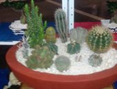 12932587_1058788994166612_2397626446250919127_n 12932587_1058788994166612_2397626446250919127_n