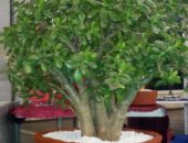 12974441_1058749044170607_3851856138407226193_n 12974441_1058749044170607_3851856138407226193_n