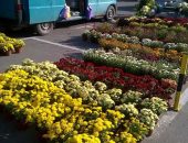 14918954_1115958621790689_3350883125147098570_o