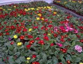 16992213_1244687352251148_8662377690537612841_o