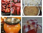 21106418_268145120366991_9144847480096200306_n