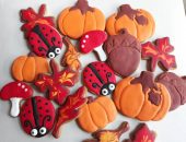 22137025_2007115689568278_7168310651274649256_o