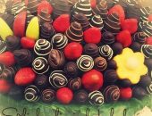 13445545_142329416187388_3112155215457776487_n